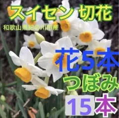 むこ様 リクエスト 2点 まとめ商品