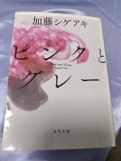 ピンクとグレー 加藤シゲアキ 角川文庫