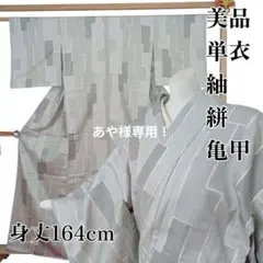美品 単衣 紬 亀甲柄 身丈164cm　幾何学模様　絣　バチ衿のサムネイル