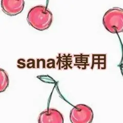 sana様 リクエスト 2点 まとめ商品