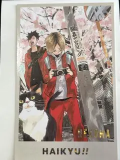 ハイキュー‼︎ メモリアルコレクション 音駒 研磨 黒尾 春の猫