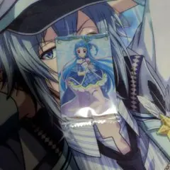 プリキュアウエハースカード　12