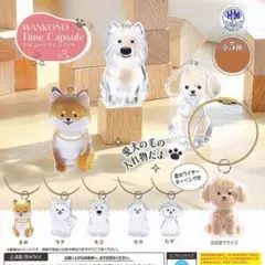 わんこのタイムカプセル［全5種セット］