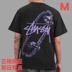 ❗️期間限定SALE❗️ステューシー スケートTシャツ ブラックM