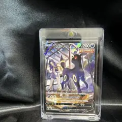 ブラッキーV CSR