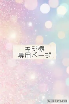 制作依頼専用ページ 2025年最新】オーダー専用ページの人気アイテム - メルカリ
