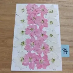 Item thumbnail for item fbe9a383-1f80-4e78-aaea-5337cecf1bd2