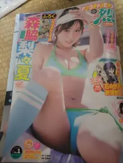 Item thumbnail for item 35f8cee6-7389-4cdd-9861-46c774e7a6c1