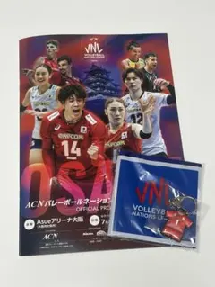 全日本ユニフォーム バレーボール ネーションズリーグ 石川真佑 国体