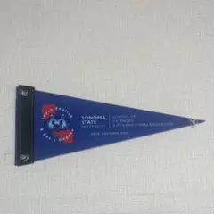 Sonoma State University ペナント