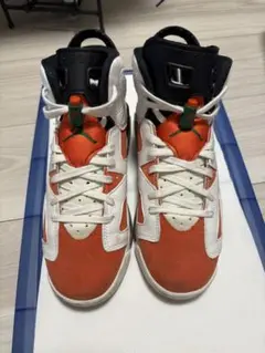 NIKE AIRJORDAN6レトロ ゲータレード