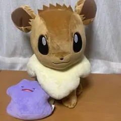 イーブイ　メタモン　ぬいぐるみセット