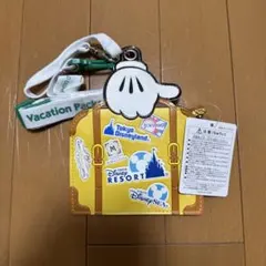 ディズニー　バケーションパッケージ　ポーチ