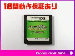 任天堂 DS ポケモン不思議のダンジョン 空の探検隊