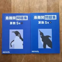 早稲アカ　最難関問題集 算数 5年上下セット