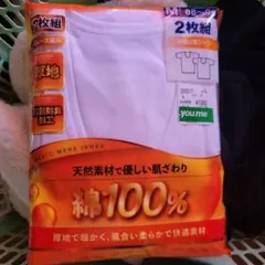 Item thumbnail for item 217dd341-d690-4599-849b-1998050f01af