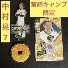 福岡ソフトバンクホークス　宮崎キャンプ　7 中村晃 アクリルスタンド　タカコレ