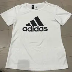 Item thumbnail for item e47c8d2c-59a3-4e86-9eba-ca237d95cb81