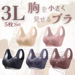 ◯5枚セット 3L 着痩せ　シームレス　レース　ノンワイヤー　ナイトブラ　美胸