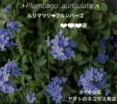 ゆうふぁ☻プロフご確認ください様 リクエスト 2点 まとめ商品