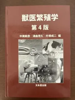 Item thumbnail for item c6bef90e-309a-41b7-8274-dd2dd868b6d0