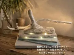 流木スタンド　流木トライアングルディスプレイ　キャンドルポットエアプランツ付 流木スタンド 流木トライアングルディスプレイ キャンドルポットエア