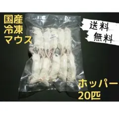 送料無料 冷凍マウスホッパー20匹 - メルカリ