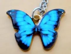 モルフォチョウ　ネックレス　可愛い　神秘的　美しい　幻想的　ペンダント かわいい