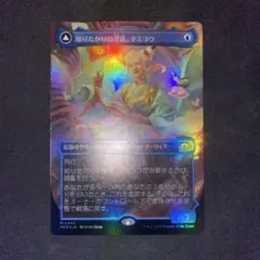 知りたがりの学徒、タミヨウ foil