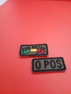 Item thumbnail for item 1891e1b3-4bc8-4c55-a4db-0666d8f1f3b0