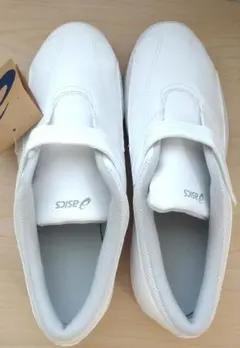 Item thumbnail for item a671b51e-a590-4e2c-a319-811acff103ec