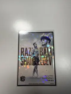 ラジャブアリシェイドゥラエフ　RIZINライコレ