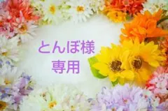 ✿とんぼ様専用✿