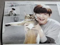 Item thumbnail for item e1aba279-8afa-442c-bba4-e5e9032cf61c