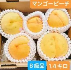 岡山県産 一宮ブランド マンゴーピーチ 岡山県産一宮ブランド マンゴーピーチ B級品 5個セット 1.4kg【④