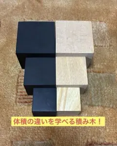 木製×ゴム製 体積比較教材 ブロックセット　知育　保育士　教育用