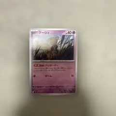 ポケモン ポケモンカード ポケカ Pokemoncard ケーシィ カード