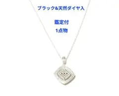 n*n様 【鑑定付】ブラック&天然ダイヤモンド入ネックレス　新品