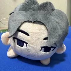seventeen ウォヌ petiteen ぬいぐるみ タグ付き