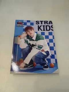 【straykids】SKZ TOY WORLD ラントレ バンチャン