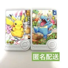 ポケモンフレンダベストタッグ3弾　パラレルアートピック　ワニノコ　ピカチュウ