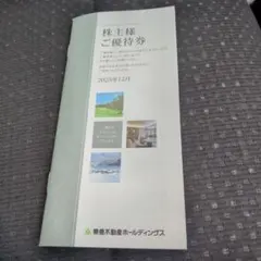 東急不動産ホールディングス 株主優待券