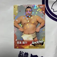 大相撲 BBM 2026 SUMO CARDS キラパラレル版 豊昇龍 - メルカリ