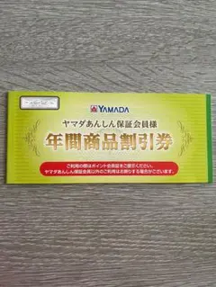 ヤマダ電機 年間商品割引券 金額: ¥５００×６枚　 合計３，０００円分