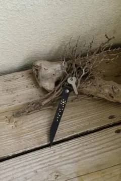 大人気 本革レザーキーホルダー スタッズ使用 フラワーデザイン キャリー HTC