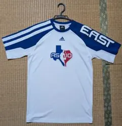 Item thumbnail for item 2d8b3eba-4b0e-4aa7-94d8-a8665bd321a2