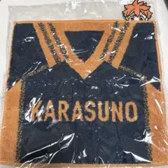 Item thumbnail for item 198fdd5e-a4d7-4ac5-bd67-344148b388aa