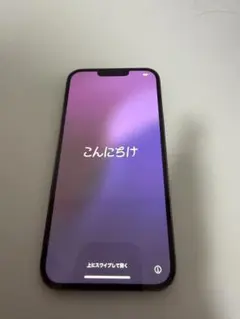 Apple iPhone 13Promaxグラファイト