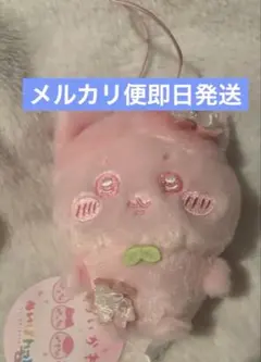 ちいかわ　ぬいぱれっとさくらいろ　ハチワレのサムネイル