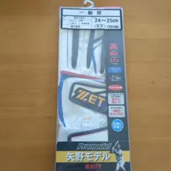 Item thumbnail for item 07ecb4cc-01a3-4581-85e5-b80c08c099e2